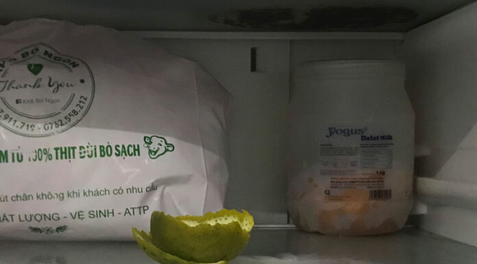 “A Whiff of Freshness: Revitalizing Your Fridge with Budget-Friendly, Household Ingredients”