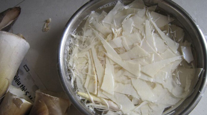 “The Art of Removing Bitterness from Bamboo Shoots”