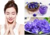 The Blue Butterfly Pea – Nature’s Secret to Youthful Skin and Healthy Hair