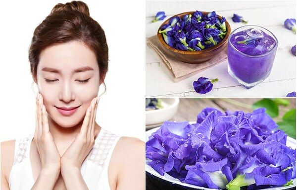 The Blue Butterfly Pea – Nature’s Secret to Youthful Skin and Healthy Hair