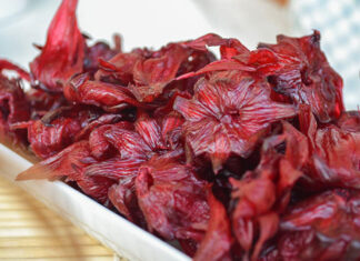 The Magic of Artichoke: Unveiling the Secrets of Red Artichoke Wine and Its Benefits