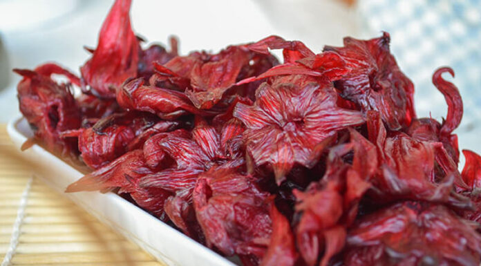 The Magic of Artichoke: Unveiling the Secrets of Red Artichoke Wine and Its Benefits