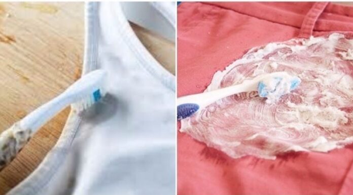 The Ultimate Guide to Removing Mold Stains from Clothing