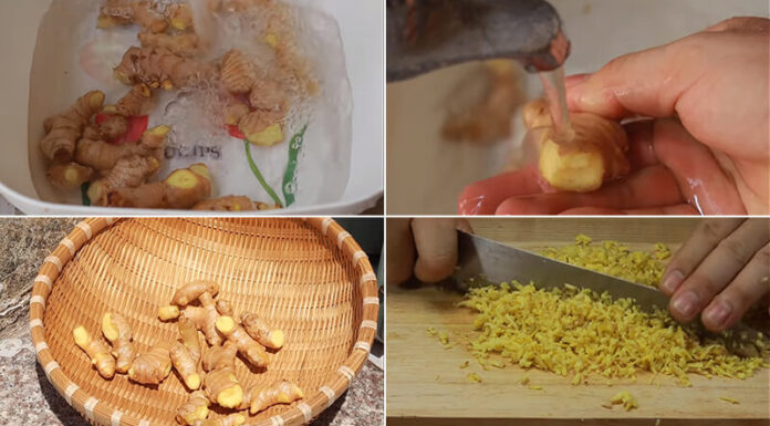 “Boost Your Health and Immunity with Ginger and Honey”