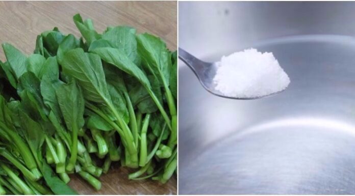 The Secret to Cooking Vegetables Without Water: Locking in Nutrients and Flavor