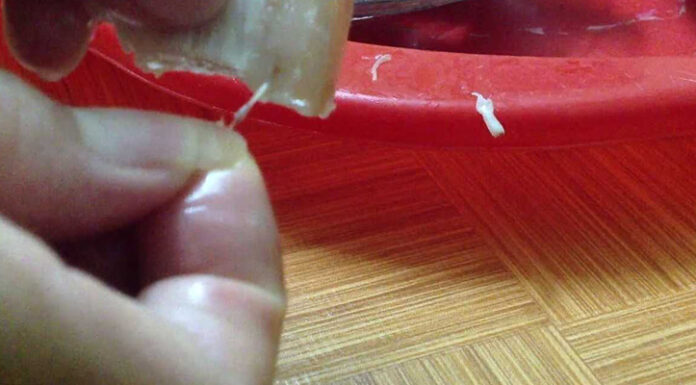 How to Spot Worm-Infested Beef and Pork