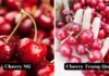 The Ultimate Guide: How to Tell the Difference Between American and Chinese Cherries