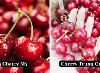 The Ultimate Guide: How to Tell the Difference Between American and Chinese Cherries