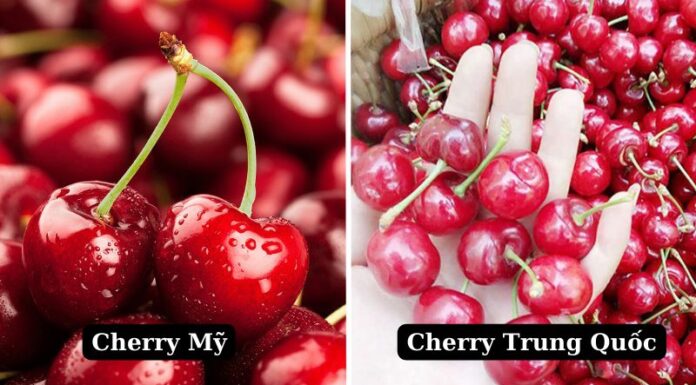 The Ultimate Guide: How to Tell the Difference Between American and Chinese Cherries