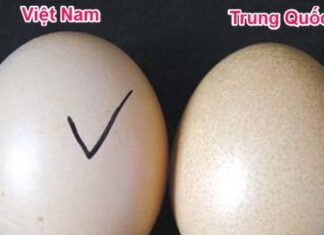 The Ultimate Guide to Spotting Fake Eggs: A Skill Every Chef Needs
