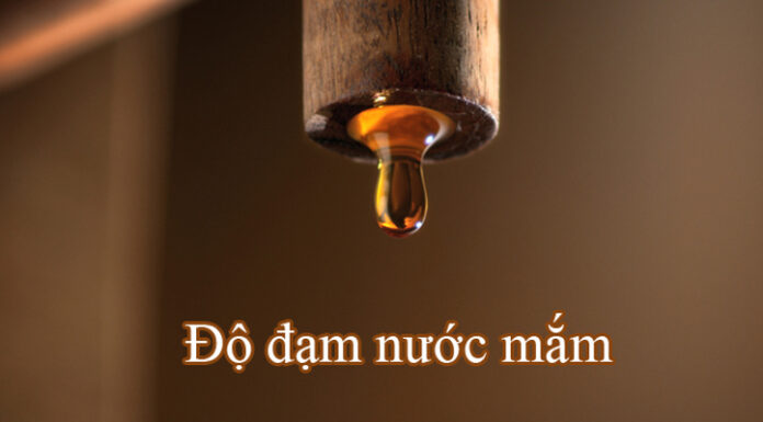 The Art of Distinguishing Fish Sauce Like a Connoisseur: Unveiling the Nuances of Degrees