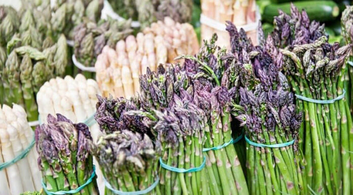 The Ultimate Guide to Growing Asparagus for Beginners: Maximizing Yield and Efficiency