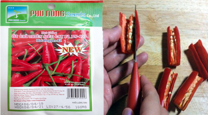 The Ultimate Guide to Growing Peppers from Seeds at Home: A Year-Round Harvest