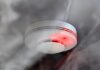 A Good Night’s Sleep, Stay Alert: Every Home Needs This Inexpensive Fire Safety Device