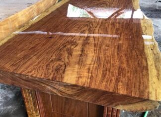 The Majesty of Rosewood: Unveiling its Significance, Beauty, and Cultivation