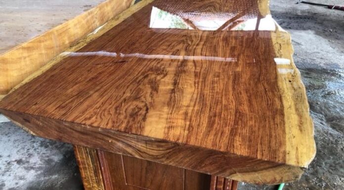 The Majesty of Rosewood: Unveiling its Significance, Beauty, and Cultivation