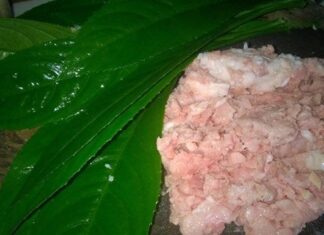 The Ultimate Guide to Choosing the Perfect Leaf for Your Next BBQ: Uncover a Leaf That Elevates Your Dish With an Explosion of Flavors