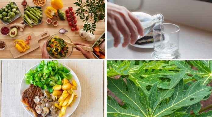 A Tasty Recovery: Nutritional Strategies to Boost Your Health Post-Dengue Fever.