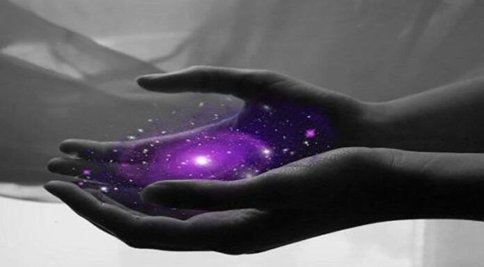 What is the Bovis Scale and Why is it Important?