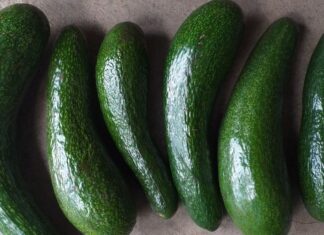 The Tasty Secret: How to Spot Tree-Ripened Avocados, a Young Foodie’s Guide