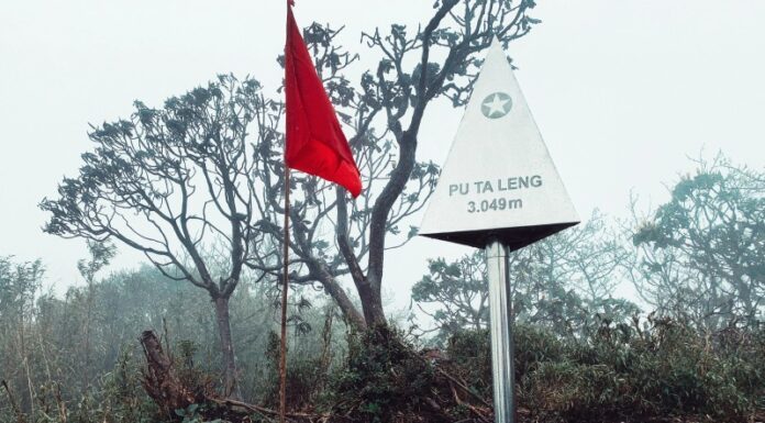 Conquering Pu Ta Leng Peak: An Adventure into Nature’s Splendour
