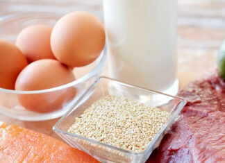 What Should a Nursing Mother Dog Eat to Stay Healthy and Produce Abundant Milk?