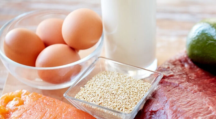 What Should a Nursing Mother Dog Eat to Stay Healthy and Produce Abundant Milk?