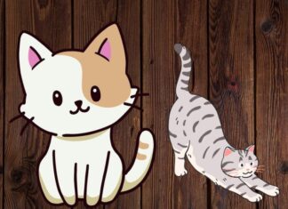 Is It a Dog or a Cat: Unveiling the Surprising Truth About Our Furry Friends’ Intelligence