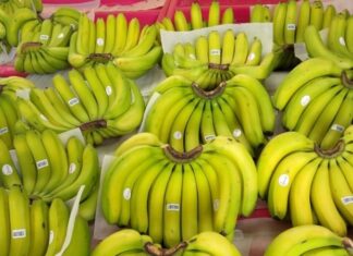 What is Laba Banana? Price and Where to Buy? – Distinguishing Laba Bananas from Regular Bananas