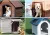 Are Plastic Dog Kennels Any Good? 6 of the Best Plastic Dog Kennel Designs Revealed.