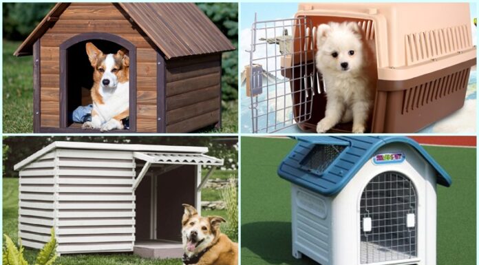 Are Plastic Dog Kennels Any Good? 6 of the Best Plastic Dog Kennel Designs Revealed.