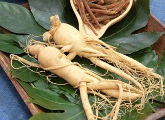 The Ultimate Guide to Skin Brightening: Expert-Approved Ingredients to Fade Dark Spots, Combat Aging and Reveal a Youthful Glow.