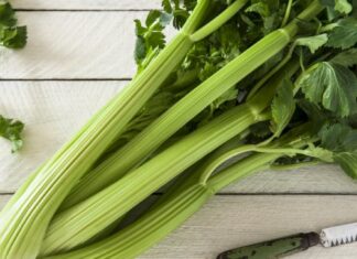 The Green Elixir: One Girl’s Journey to Health with Celery Juice