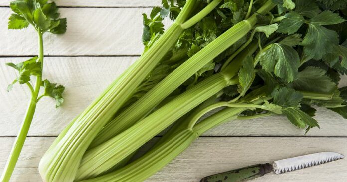 The Green Elixir: One Girl’s Journey to Health with Celery Juice