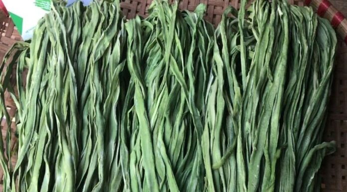 The Many Benefits and Delicious Dishes of “Tiến Vua” Herb