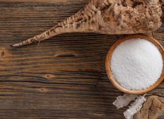 What is a Sugar Beet? How to Distinguish it from Turnips and Beets.