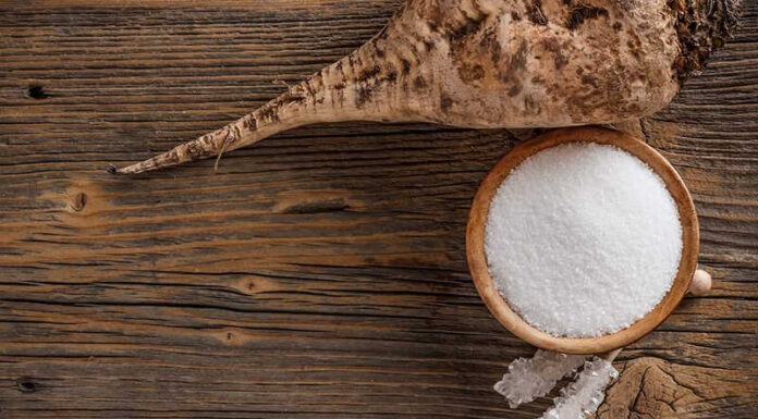 What is a Sugar Beet? How to Distinguish it from Turnips and Beets.