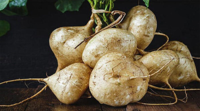 The Mighty Cassava: A Tasty Treat with a Healthy Twist