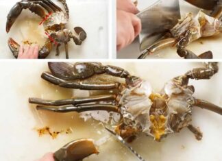 The Ultimate Guide to Picking Crab Meat with Ease