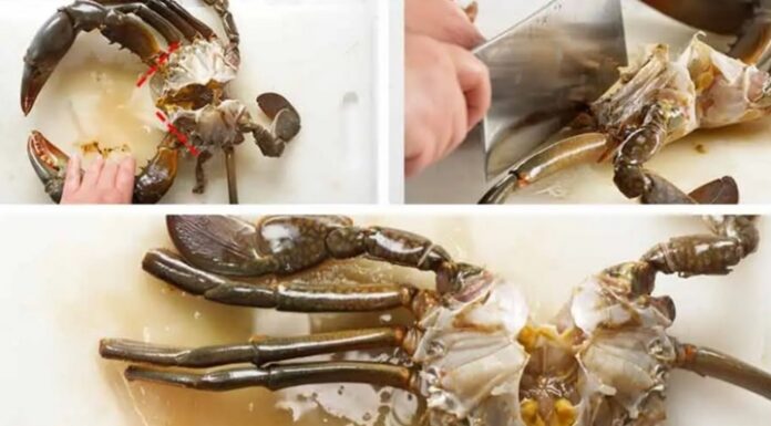 The Ultimate Guide to Picking Crab Meat with Ease