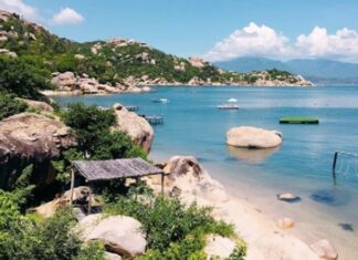 The Tasty Delights of Cam Ranh: 12 Mouth-watering Specialties to Try and Take Home.