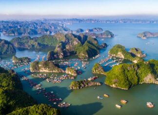 The Tasty Treasures of Cat Ba: A Gourmet’s Guide to the Island’s Top 10 Delicacies and Souvenirs