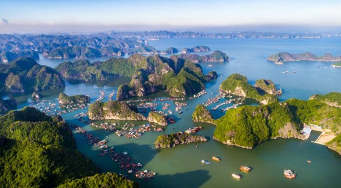 The Tasty Treasures of Cat Ba: A Gourmet’s Guide to the Island’s Top 10 Delicacies and Souvenirs