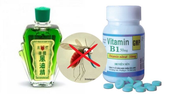 “Unlocking the Secrets: The Power of Blending Eucalyptus Oil and Vitamin B1”