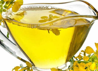 The Ultimate Gift from Nature: Canola Oil