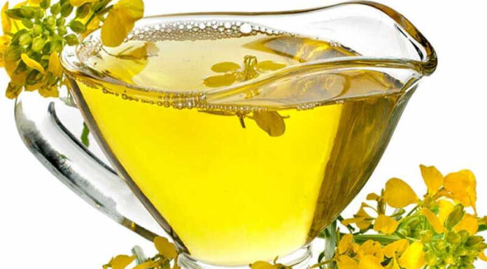 The Ultimate Gift from Nature: Canola Oil