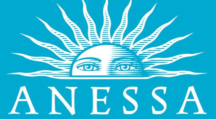 The Ultimate Guide: Unveiling the 6 Best Anessa Sunscreens for Sensitive Skin