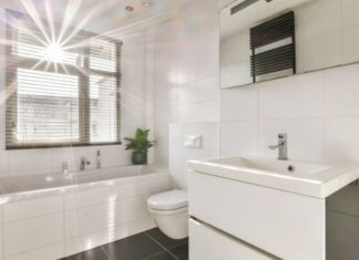 The Ultimate Guide to Safe and Effective Pest Control During the Rainy Season