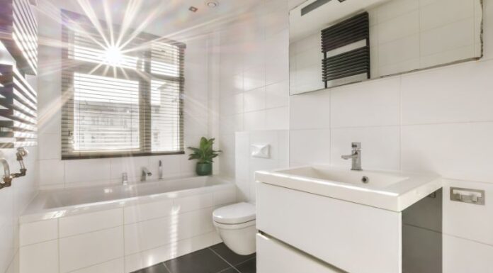 The Ultimate Guide to Safe and Effective Pest Control During the Rainy Season