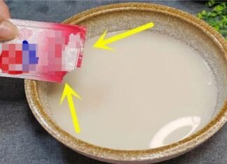 “The Magical Power of Rice Water and Yeast: A Natural Remedy for a Healthy Home”